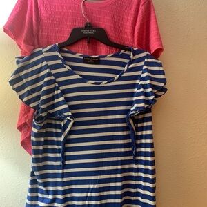 Lane Bryant (2 tops)Blue and White Striped Top and Pink Pinstriped Top